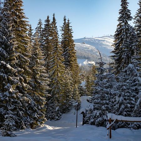 Hotel Mikulasska Chata Демяновская долина Экстерьер фото
